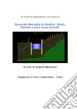 Seconda Raccolta di Analisi, Studi, Perizie e altre cose (in)utili. E-book. Formato PDF ebook