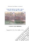 Terza Raccolta di Analisi, Studi, Perizie ed altre cose (in)utili. E-book. Formato PDF ebook di Ph. D. prof. ing. Angelo Spizuoco