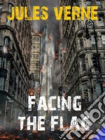 Facing the Flag. E-book. Formato EPUB ebook