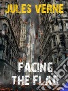 Facing the Flag. E-book. Formato EPUB ebook