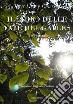 Il libro delle fate del Galles (e altre storie). E-book. Formato Mobipocket