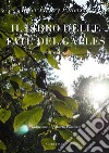 Il libro delle fate del Galles (e altre storie). E-book. Formato EPUB ebook