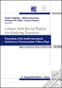 Labour And Social Rights. An Evolving Scenario: Proceedings of the Twelfth International Conference in Commemoration of Marco Biagi. E-book. Formato PDF ebook di Tindara Addabbo