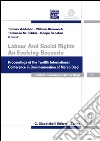 Labour And Social Rights. An Evolving Scenario: Proceedings of the Twelfth International Conference in Commemoration of Marco Biagi. E-book. Formato PDF ebook di Tindara Addabbo