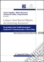 Labour And Social Rights. An Evolving Scenario: Proceedings of the Twelfth International Conference in Commemoration of Marco Biagi. E-book. Formato EPUB