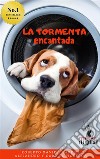 La Tormenta EncantadaLas aventuras de Gabriel y Roberto. E-book. Formato EPUB ebook