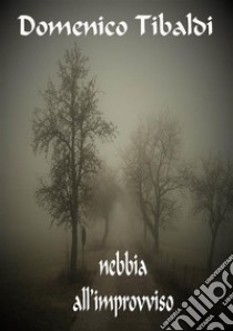 Nebbia all'improvviso. E-book. Formato PDF ebook di DOMENICO TIBALDI