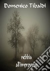 Nebbia all'improvviso. E-book. Formato PDF ebook di DOMENICO TIBALDI