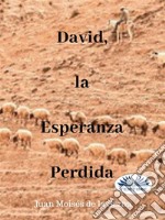 David, La Esperanza Perdida. E-book. Formato EPUB ebook