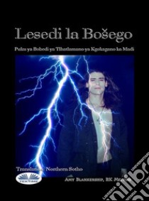 Lesedi La BošegoPuku Ya Bobedi Ya Tlhatlamano Ya Kgokagano Ka Madi. E-book. Formato EPUB ebook di Amy Blankenship