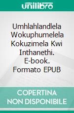 Umhlahlandlela Wokuphumelela Kokuzimela Kwi Inthanethi. E-book. Formato EPUB ebook di Celine Claire