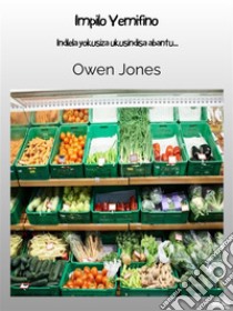 Impilo YemifinoIndlela Yokusiza Ukusindisa Abantu.... E-book. Formato EPUB ebook di Owen Jones