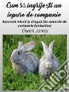 Cum Sa Îngrije?ti Un Iepure De CompanieIepura?ii Micu?i ?i Dragu?i Fac Animale De Companie Fantastice!. E-book. Formato EPUB ebook