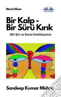 Bir Kalp-Bir Sürü KirikBir Siir Ve Sanat Koleksiyonu. E-book. Formato EPUB ebook