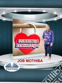 Izinkinga Zenhliziyo. E-book. Formato EPUB ebook
