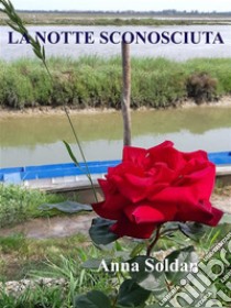 Una notte sconosciuta. E-book. Formato EPUB ebook di Anna Soldan