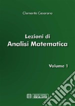 Lezioni di Analisi Matematica Vol.1. E-book. Formato PDF