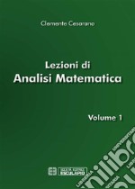 Lezioni di Analisi Matematica Vol.1. E-book. Formato PDF ebook