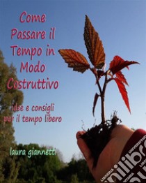 Come passare il tempo in modo costruttivoidee e consigli per il tempo libero. E-book. Formato EPUB ebook di Laura Giannetti