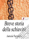 Breve storia della schiavitù. E-book. Formato Mobipocket ebook