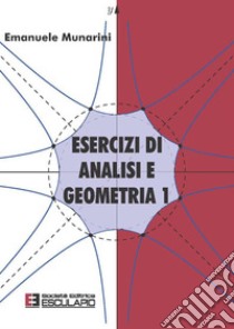 Esercizi di analisi e geometria 1. E-book. Formato PDF ebook di Emanuele Munarini