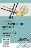 Woodwind Quintet &quot;Il Barbiere di Siviglia&quot; scoreintermediate / advanced. E-book. Formato PDF ebook