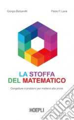 La stoffa del matematico: Congetture e problemi per mettersi alla prova. E-book. Formato EPUB ebook