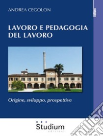 Lavoro e pedagogia del lavoroOrigine, sviluppo, prospettive. E-book. Formato EPUB ebook di Andrea Cegolon