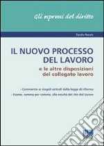 Il nuovo processo del lavoro e le altre disposizioni del collegato lavoro. E-book. Formato EPUB ebook