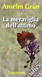 La meraviglia dell'attimo. E-book. Formato PDF ebook