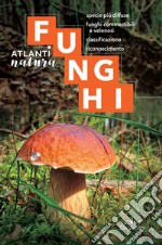 Funghi: Specie più diffuse, funghi commestibili e velenosi, classificazione, riconoscimento. E-book. Formato PDF ebook