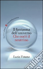 Il fantasma dell'universo: Che cos'è il neutrino. E-book. Formato EPUB ebook