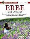 Erbe che curano. Essenze, principi attivi, tisane, liquori, unguenti... e il ricettario delle erbe selvatiche. E-book. Formato PDF ebook di AA. VV.