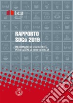 Rapporto SDGs 2019: Informazioni statistiche per l'Agenda 2030 in Italia . E-book. Formato PDF ebook