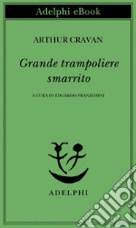 Grande trampoliere smarrito. E-book. Formato EPUB ebook