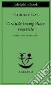 Grande trampoliere smarrito. E-book. Formato EPUB ebook