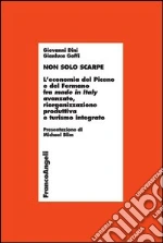 Non solo scarpe. L'economia del Piceno e del Fermano fra made in Italy avanzato, riorganizzazione produttiva e turismo integrato. E-book. Formato PDF