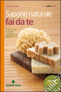 Sapone naturale fai da te: Ricette semplici e tante idee per imparare a produrlo da soli divertendosi. E-book. Formato EPUB ebook di Paola Lambardi