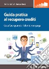 Guida pratica al recupero crediti: Cosa fare quando il cliente non paga. E-book. Formato PDF ebook