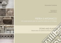 Pietra e intonaco: Stone and plaster. E-book. Formato EPUB ebook di Fernanda Cantone