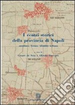 I centri storici della provincia di NapoliStruttura, Forma, Identità urbana. E-book. Formato PDF
