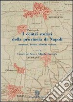 I centri storici della provincia di NapoliStruttura, Forma, Identità urbana. E-book. Formato PDF ebook