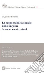 La responsabilità sociale delle impreseStrumenti attuativi e rimedi. E-book. Formato PDF ebook