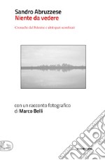 Niente da vedere: Cronache dal Polesine e altri spazi sconfinati (con un racconto fotografico di Marco Belli). E-book. Formato EPUB ebook