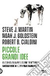 Piccole grandi idee: La scienza della persuasione per ottenere massimi risultati con minimi cambiamenti. E-book. Formato EPUB ebook