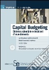 Capital budgeting. Sistema aziendale e decisioni d'investimento. E-book. Formato PDF ebook