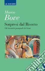 Sorpresi dal Risorto: Gli incontri pasquali di Gesù. E-book. Formato EPUB