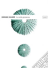 La stella promessa. E-book. Formato EPUB ebook
