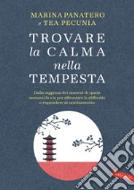 Trovare la calma nella tempesta. Dalla saggezza dei maestri di spada samurai la via per affrontare le difficoltà e rispondere al cambiamento. E-book. Formato EPUB ebook