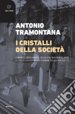 I cristalli della società: Simmel, Benjamin, Gehlen, Baudrillard e l’esistenza multiforme degli oggetti. E-book. Formato EPUB ebook